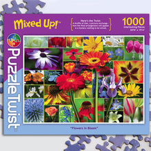 Load image into Gallery viewer, Puzzle Twist Puzzles
