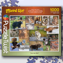 Load image into Gallery viewer, Puzzle Twist Puzzles
